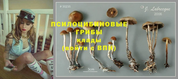 тгк Кукмор