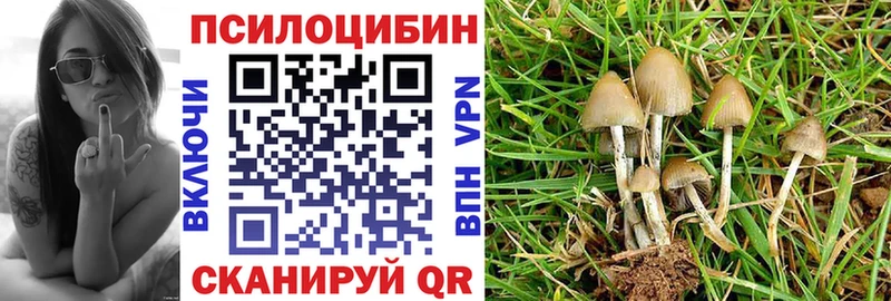 Галлюциногенные грибы Magic Shrooms  Купить  Армянск 